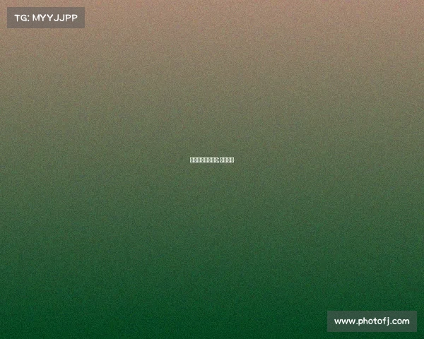 游泳协会年度赛事;游泳联赛