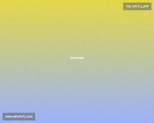 体育游泳比赛实况视频