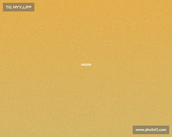 十三冬在哪举办