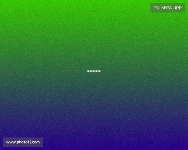 商洛拳击赛事有哪些