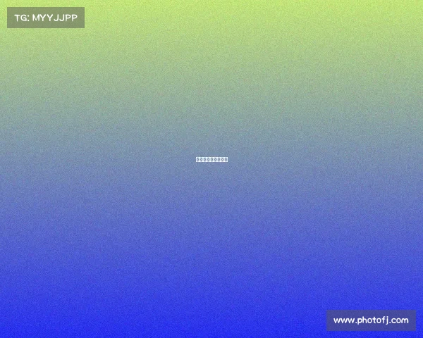 散打赛事计划怎么写