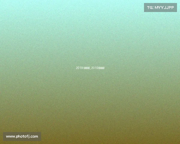 2019 围棋赛事_2019围棋冠军