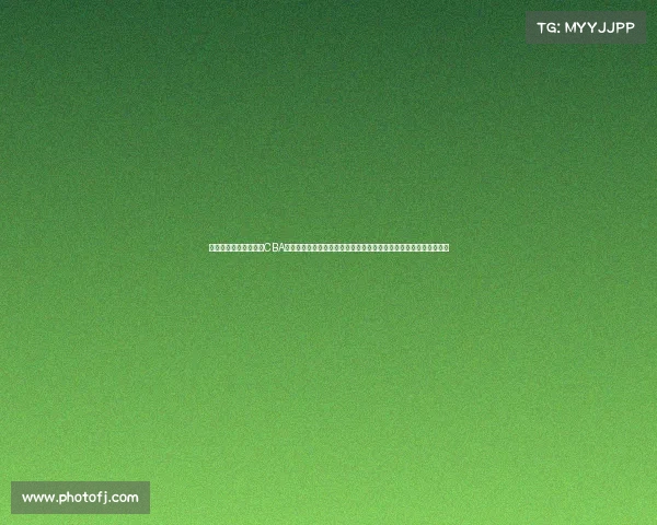 中国男子篮球职业联赛CBA全部赛事全景扫描深度解析明星球员表现战术布局赛季亮点回顾前瞻