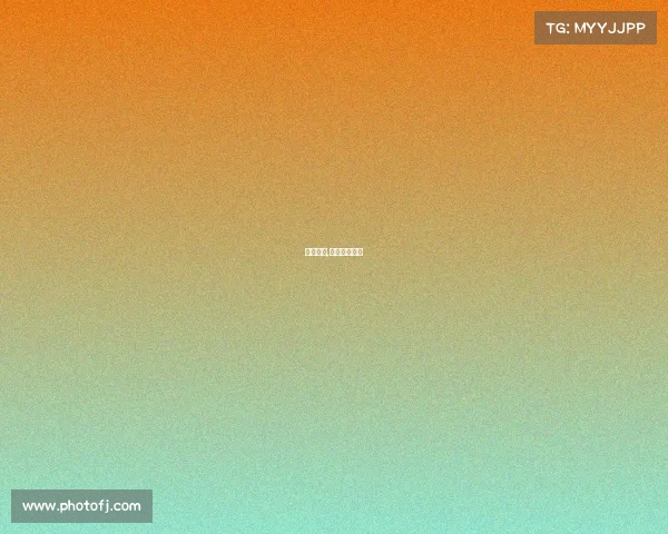 乒联赛事,乒联赛事安排